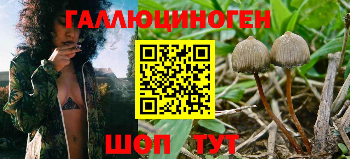 ГАШИШ Богородск