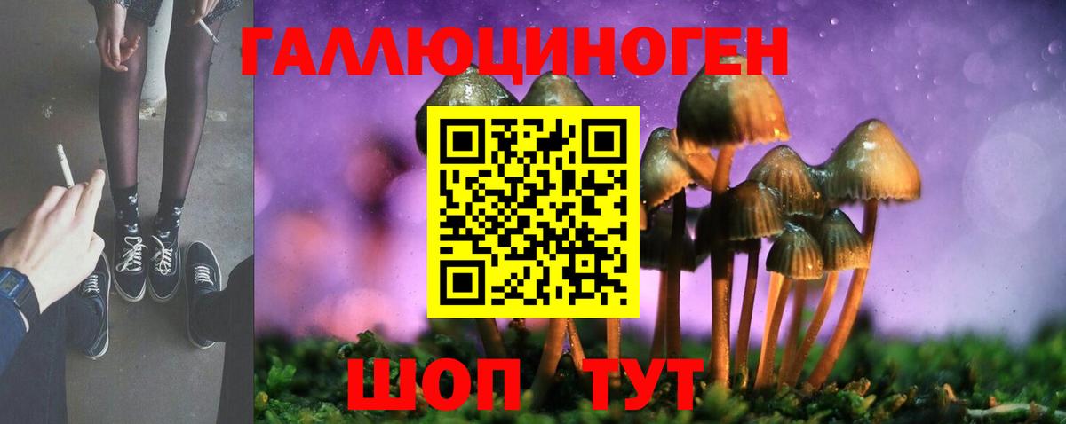Галлюциногенные грибы мухоморы Богородск